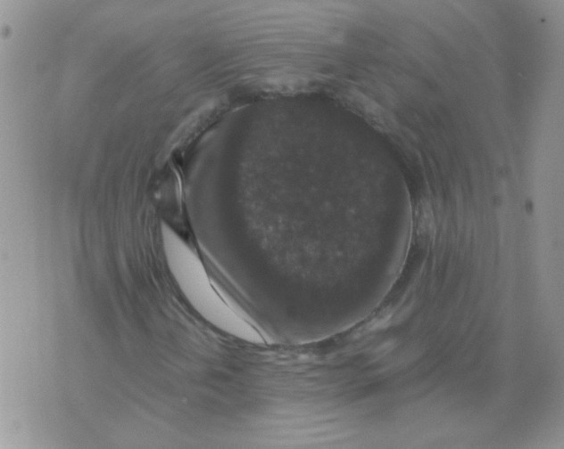 X0000071861202200607211908