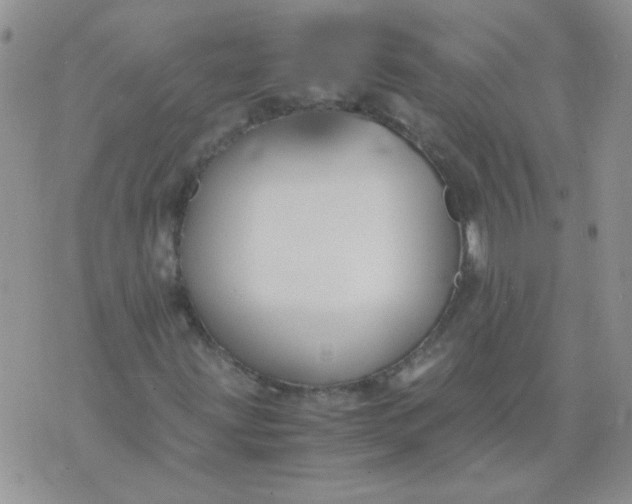 X0000071861203200607211909