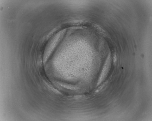 X0000071861204200607211909