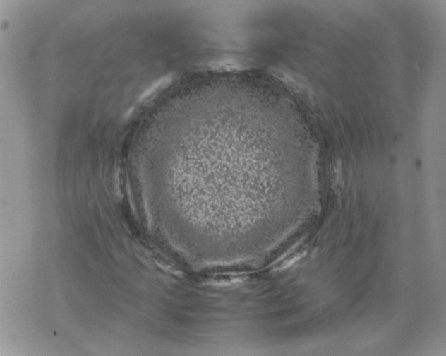 X0000071861205200607211909