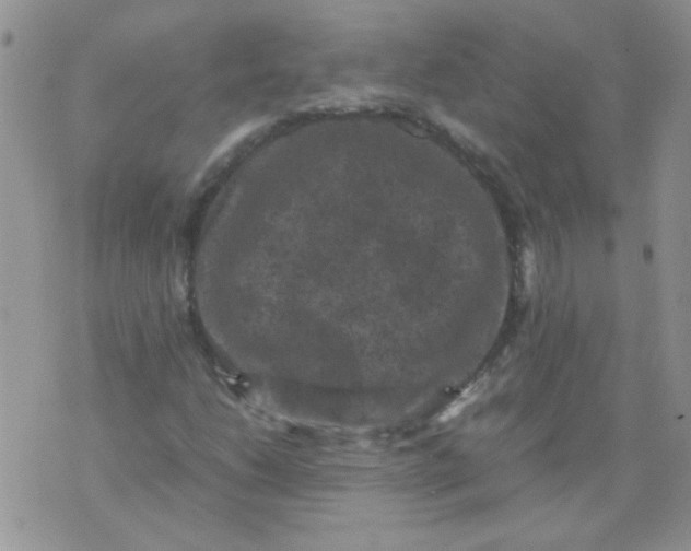 X0000071861206200607211909