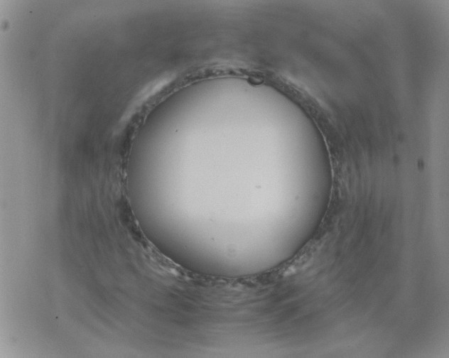 X0000071861207200607211909