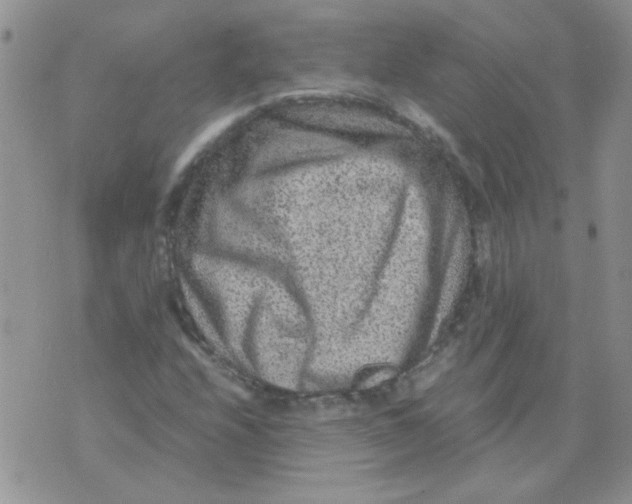 X0000071861208200607211909