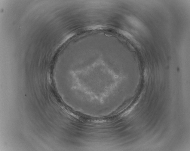 X0000071861209200607211909