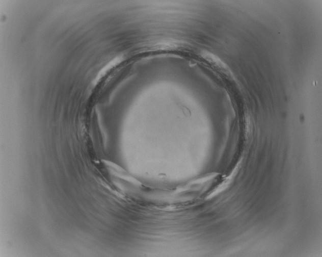 X0000071861210200607211909