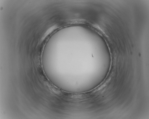 X0000071861211200607211909