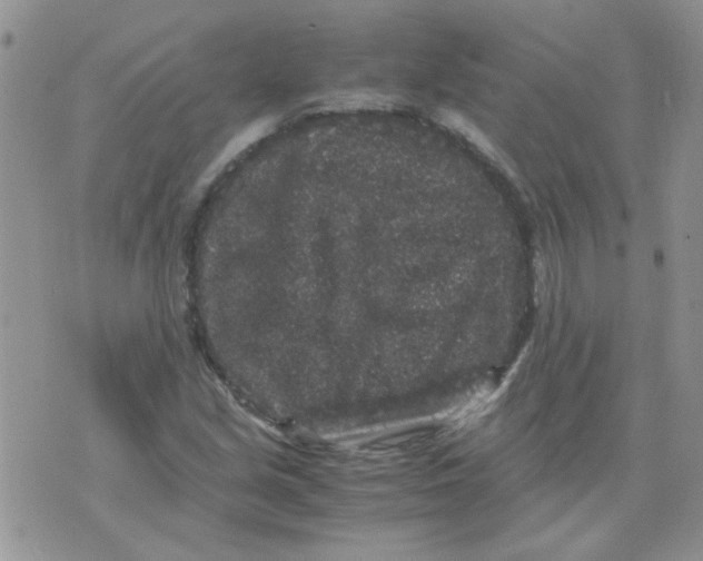 X0000071861213200607211909