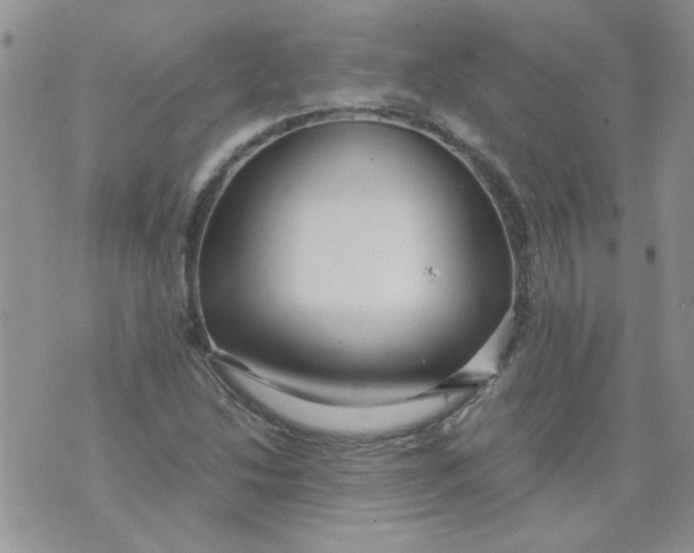 X0000071861214200607211909