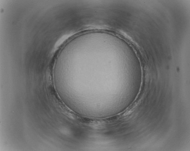 X0000071861215200607211909