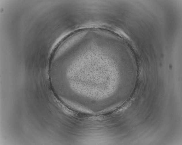 X0000071861216200607211909