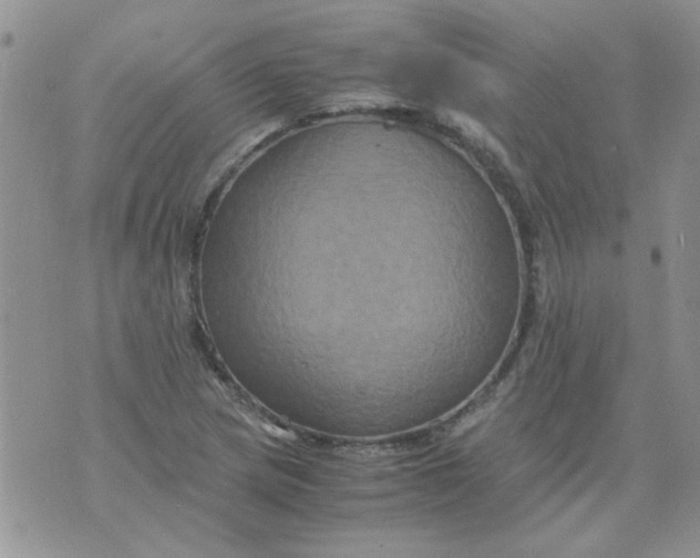 X0000071861217200607211909