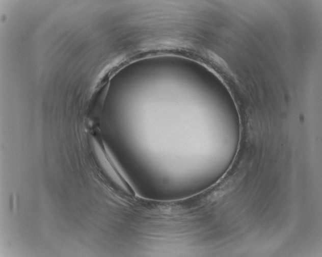 X0000071861218200607211909