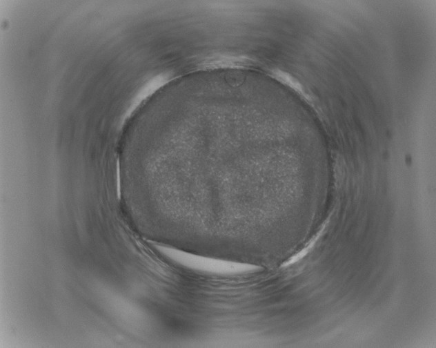 X0000071861219200607211909