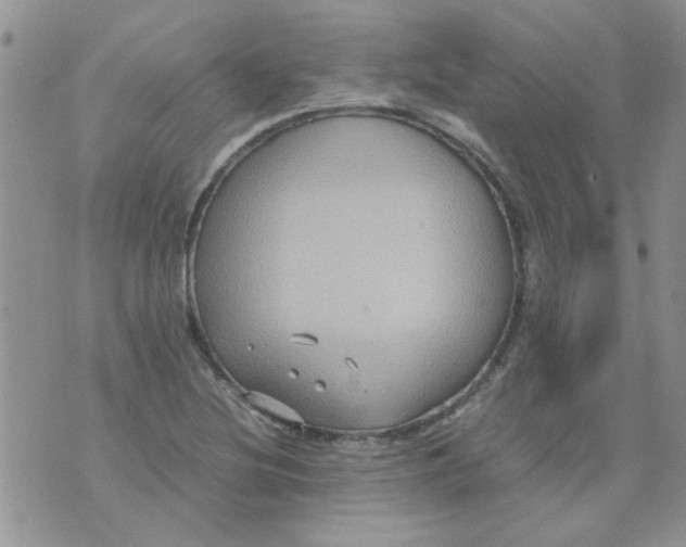 X0000071861220200607211909