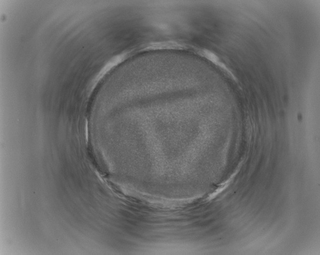 X0000071861221200607211909