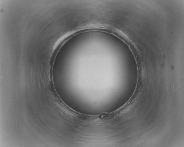 X0000071861222200607211909