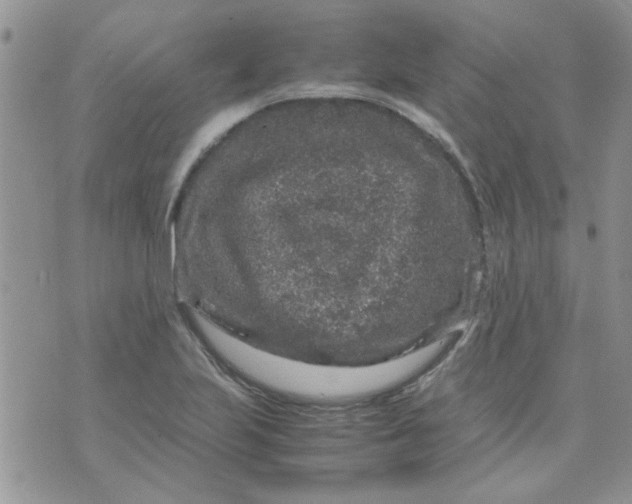 X0000071861223200607211909