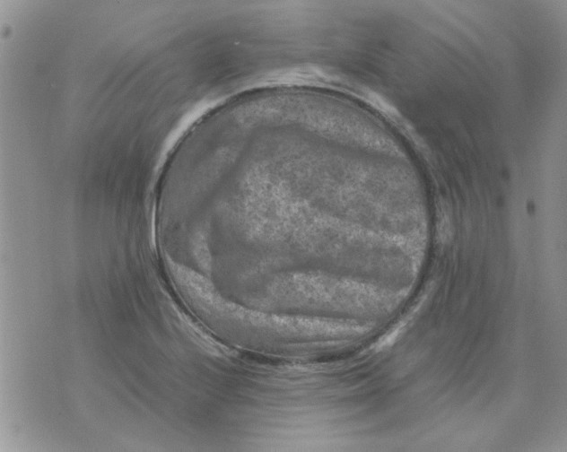 X0000071861224200607211909