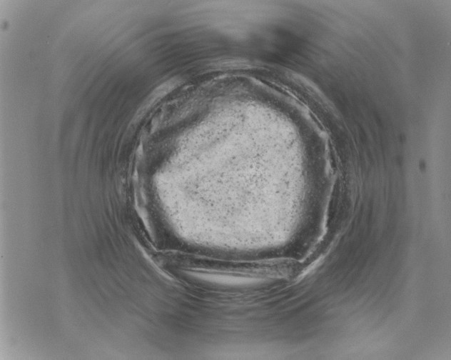 X0000071861225200607211909