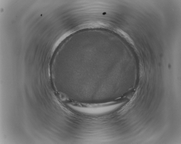 X0000071861226200607211909