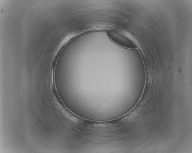 X0000071861227200607211909