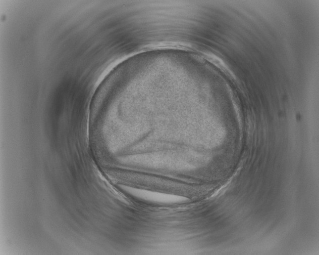 X0000071861228200607211909