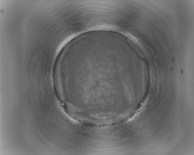 X0000071861230200607211909