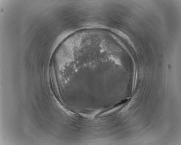 X0000071861231200607211909