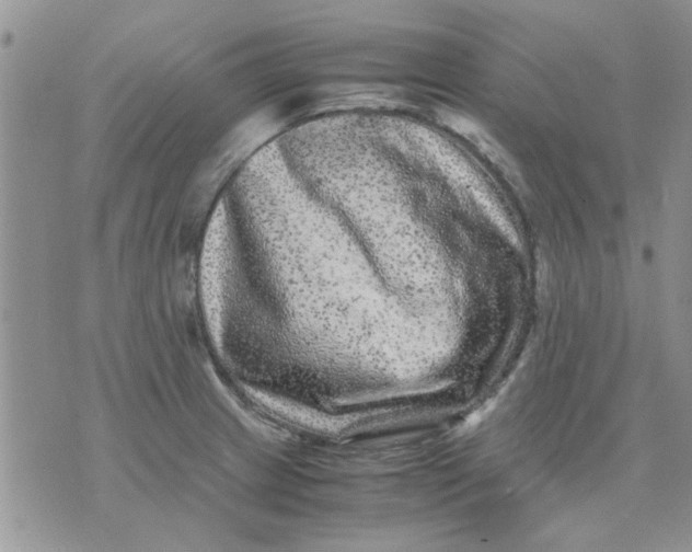 X0000071861233200607211909