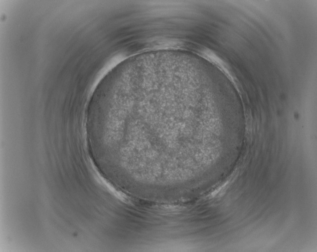 X0000071861235200607211909