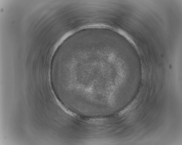 X0000071861237200607211909