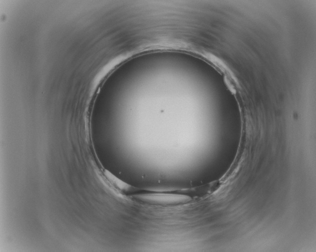 X0000071861238200607211909