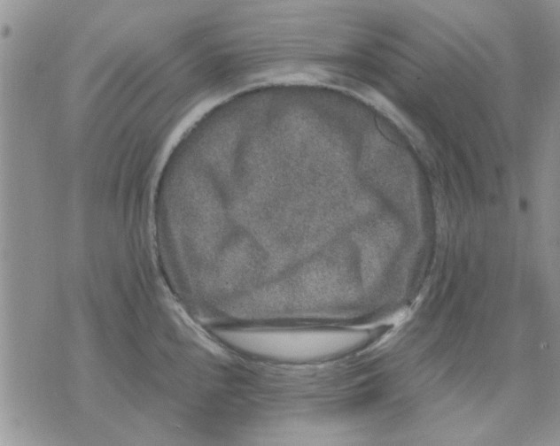 X0000071861240200607211909