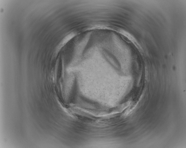 X0000071861241200607211909