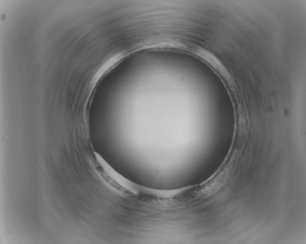 X0000071861242200607211909