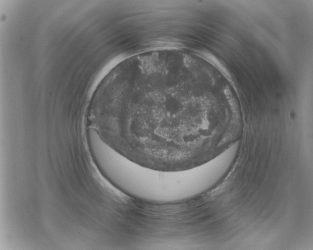 X0000071861243200607211909