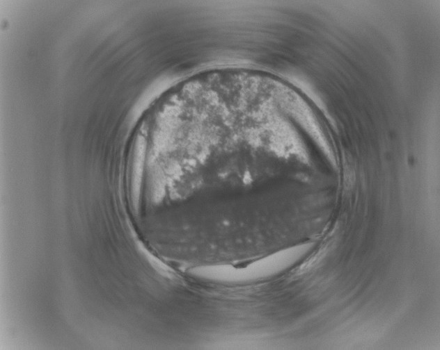 X0000071861245200607211909