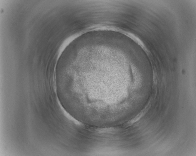 X0000071861247200607211909