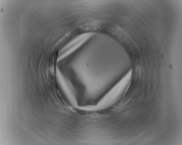 X0000071861250200607211908