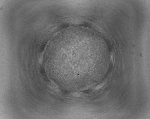 X0000071861251200607211908