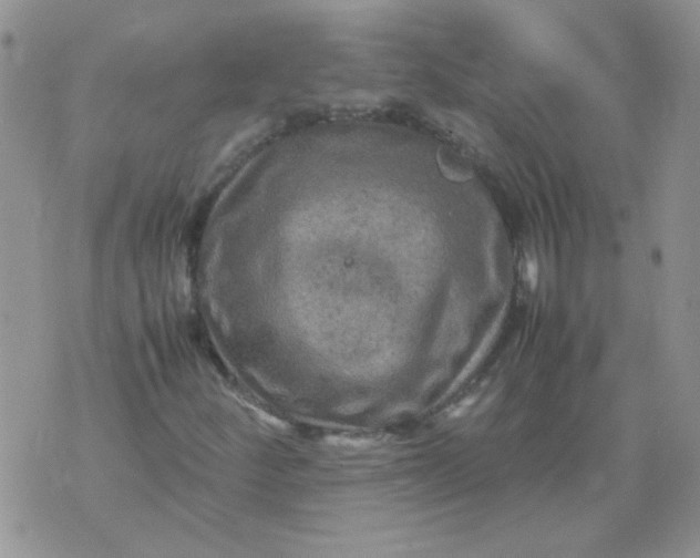 X0000071861252200607211908