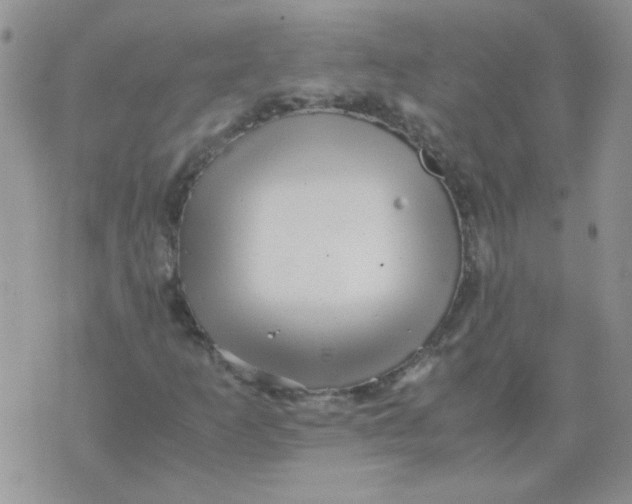 X0000071861253200607211908