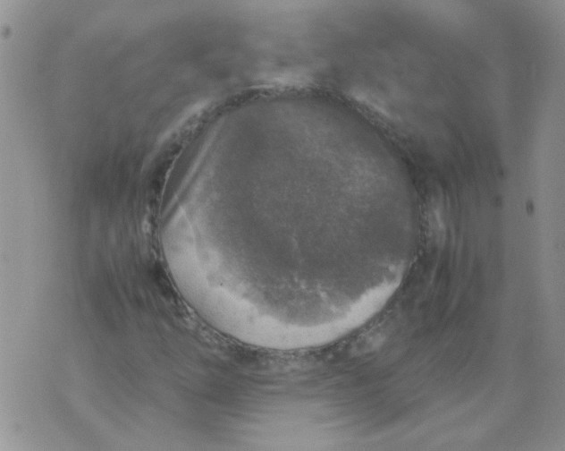 X0000071861254200607211908