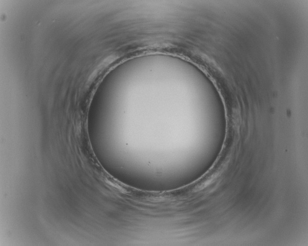 X0000071861257200607211908