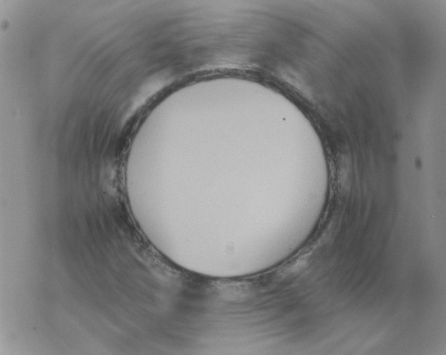 X0000071861258200607211908