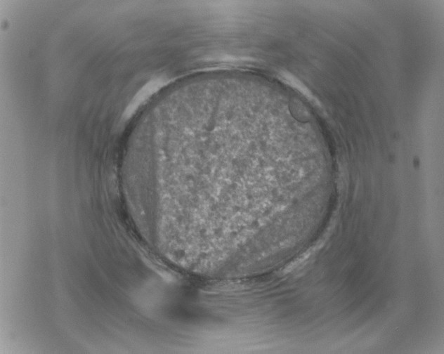 X0000071861259200607211908