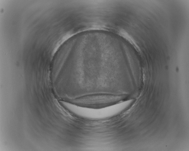 X0000071861260200607211908