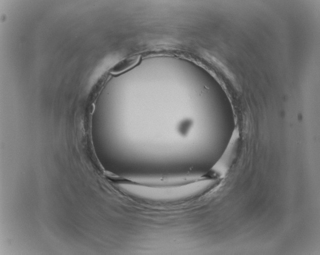 X0000071861261200607211908