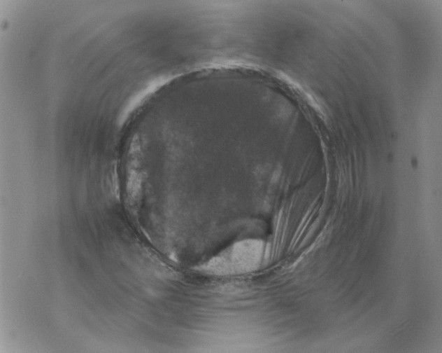 X0000071861262200607211908