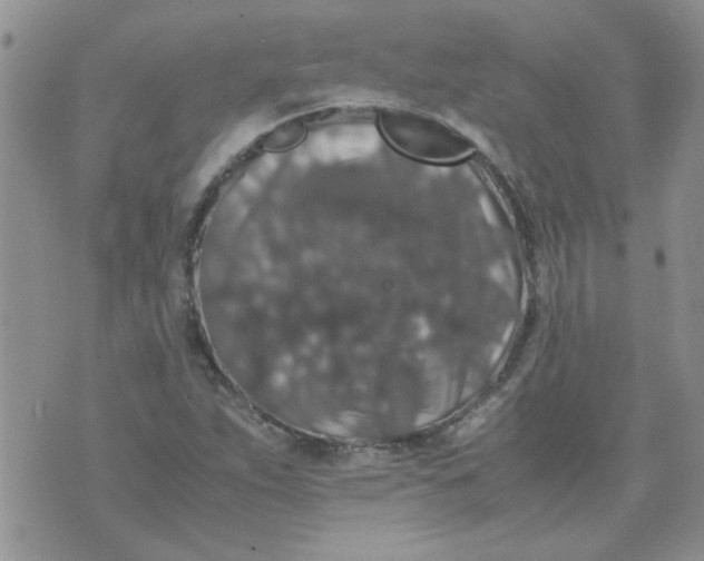 X0000071861263200607211908